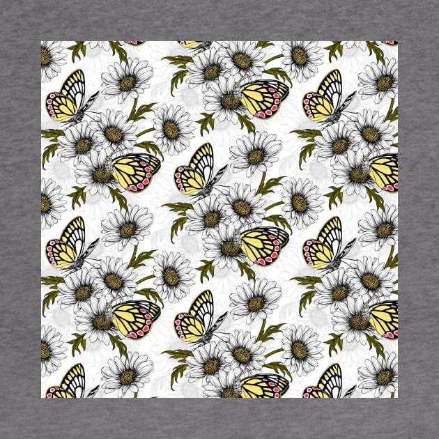 Jezebel butterflies and daisy flowers on white by katerinamk